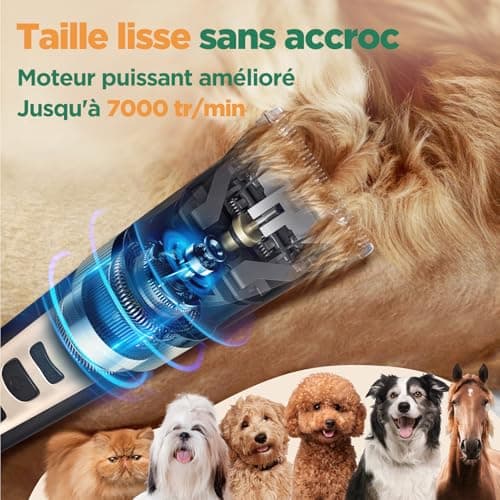 Tondeuse chien Gimars 3 en 1 sans fil 4 vitesses