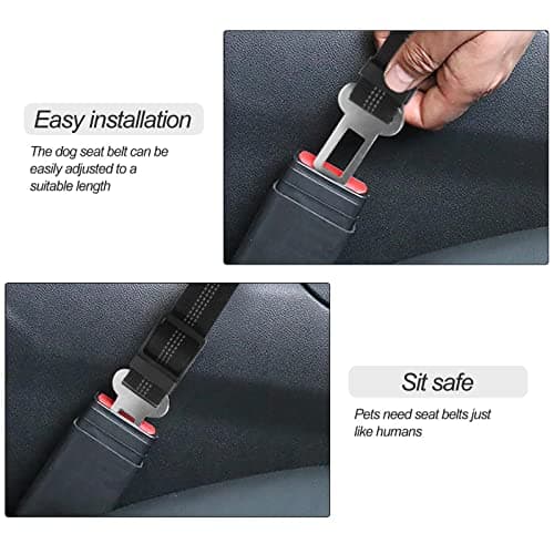 Ceinture Redamancy Chien Voiture Réglable 55-75 cm