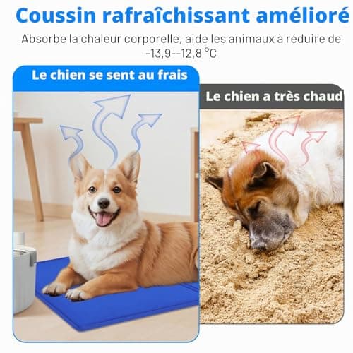 Tapis rafraîchissant chien CIOXSOIO 90x50 cm gel