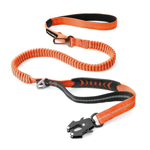 Laisse VAANNQOUU VQ-GS bungee à clip grenouille