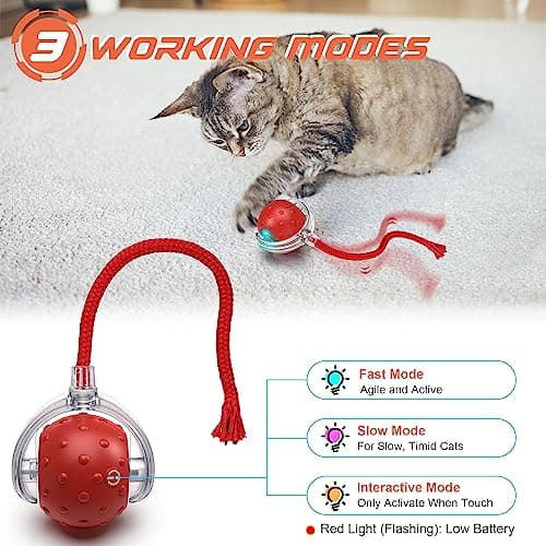 Balle interactive Iokheira L02 pour chat d'intérieur
