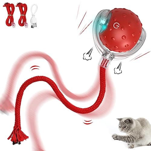 Balle interactive Iokheira L02 pour chat d'intérieur