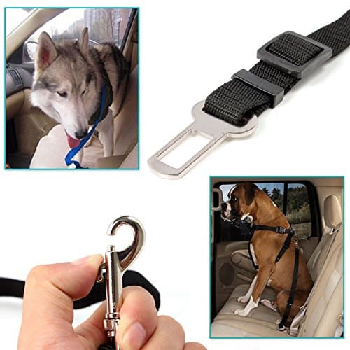 Neuftech Laisse Ceinture Sécurité Voiture Chien Chat