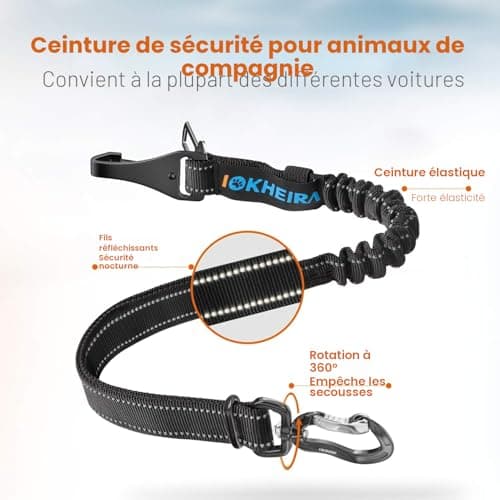 Ceinture voiture chien Iokheira 3 en 1 antichoc