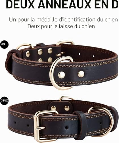 Collier cuir gravé SLZZ 2,5 cm pour chien moyen
