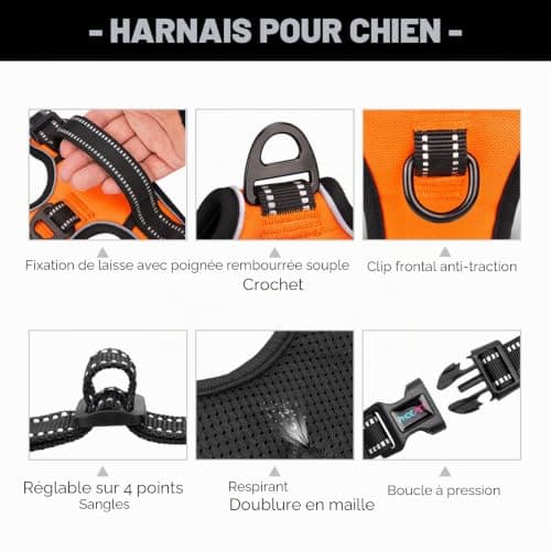 Harnais Anti-Traction PHOEPET 3 Boucles - Taille M