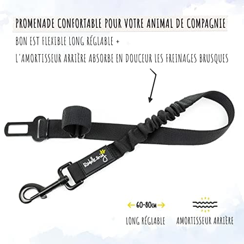 Ceinture Chien Voiture Rudelkönig Réglable 60-80 cm