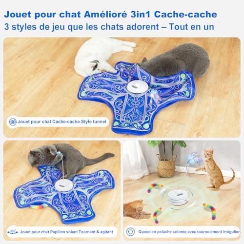 Jouet interactif chat Qraxond C02 à séances de 5 min