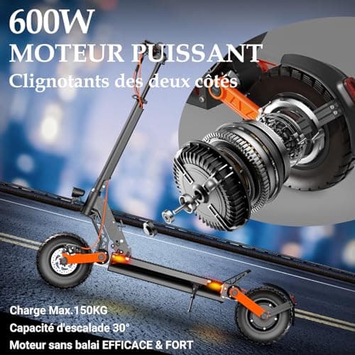 Joyor S5 Trottinette Electrique Adulte 600W