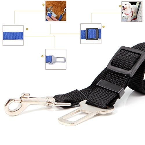 Neuftech Laisse Ceinture Sécurité Voiture Chien Chat