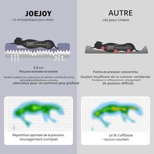 Panier Chien XL JOEJOY Orthopédique Déhoussable