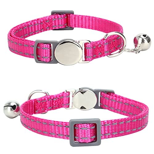Collier chat MEWOGOL gravé, boucle à ouverture sous charge