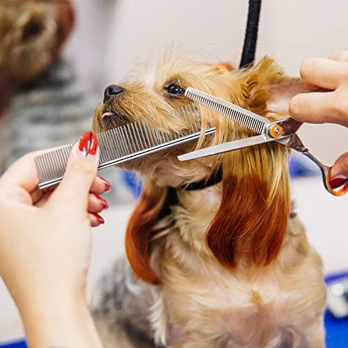 Peigne démêloir chien Boao acier inoxydable 19 cm