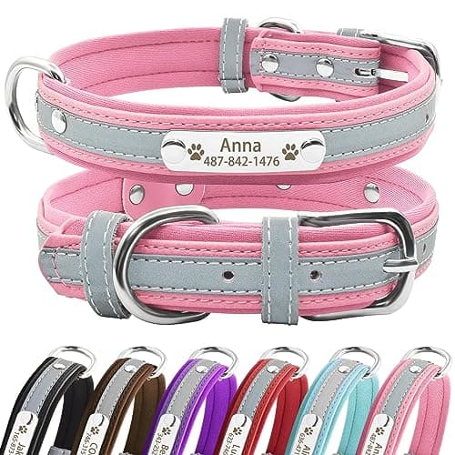 Collier Senristar néoprène réfléchissant, plaque gravée