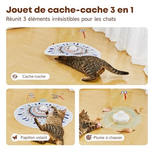 Jouet chat cache-cache Potaroma A15-MT papillon plume