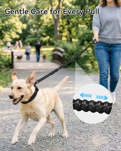 Laisse bungee Joytale J-A36004 à clip grenouille