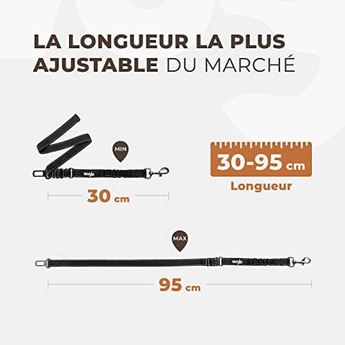 Ceinture Chien Voiture Wuglo Élastique Taille Unique