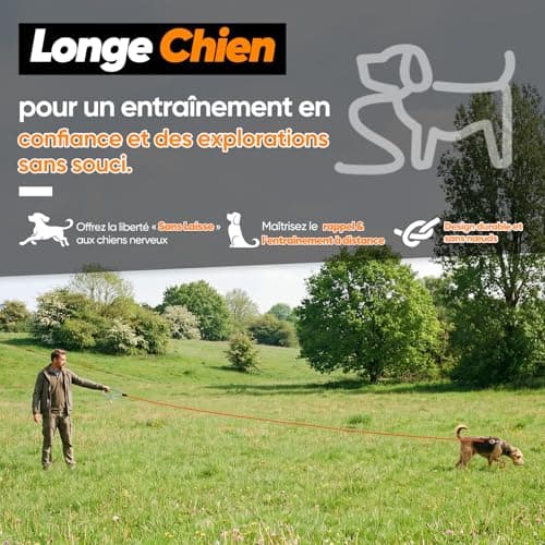 Longe corde Aystkniet 10 m 8 mm à deux mousquetons pivotants