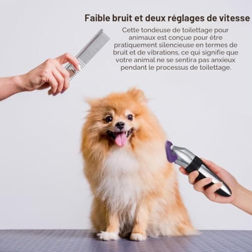 Tondeuse chien BarberBoss QR-9082 sans fil silencieuse