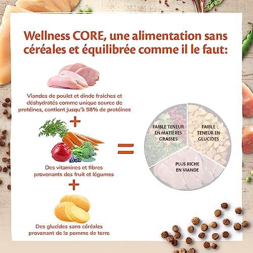 Wellness CORE Chaton Poulet Dinde Sans Céréales 1,75 kg