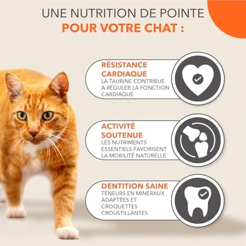Croquettes IAMS Advanced Nutrition Chat Senior 7+ Thon 3 kg