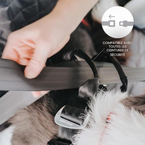Harnais voiture EzyDog Drive taille S
