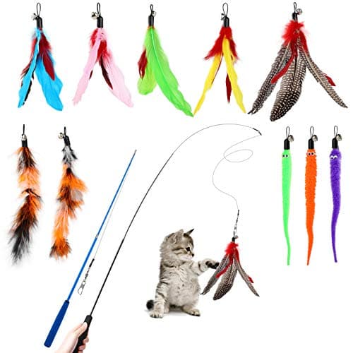 Canne à plumes Hianjoo 33CFT-12BU, 12 pièces