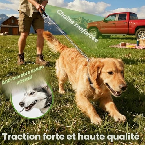 Laisse chaîne PETTOM S 2 mm 120 cm pour petit chien mâcheur