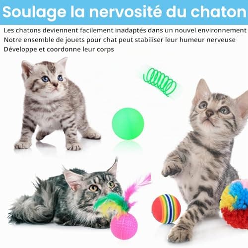 Gaomoeny RZLDE-006 lot 22 jouets chat avec tunnel