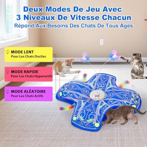Jouet interactif chat Qraxond C02 à séances de 5 min