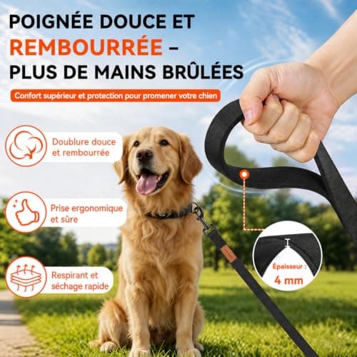 Longe nylon Looxmeer D1823 10 m pour le travail du rappel