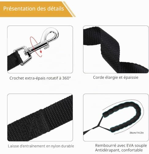 Longe RUNEAY LQQ-176-5 20 m pour petit et moyen chien