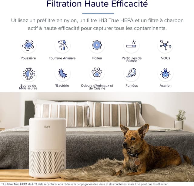 Purificateur d'Air LEVOIT Core 200S