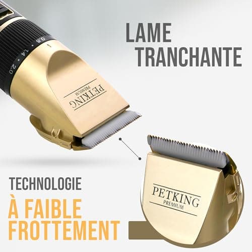 Tondeuse chien PetKing Premium sans fil kit complet