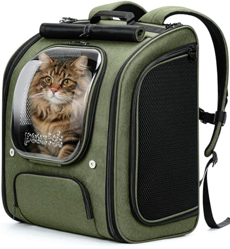 Sac à Dos Chat Pecute Bulle XXL Vert 48 cm