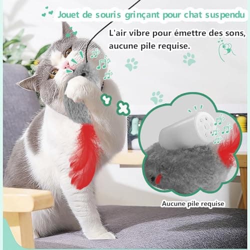 Souris suspendue FYNIGO FY-05 sans pile pour porte