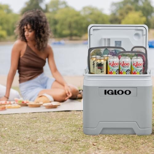 Glacière Électrique Igloo IE27 27 L 12/230 V