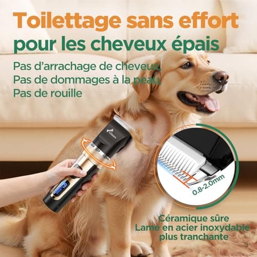 Tondeuse chien Gimars 3 en 1 sans fil 4 vitesses
