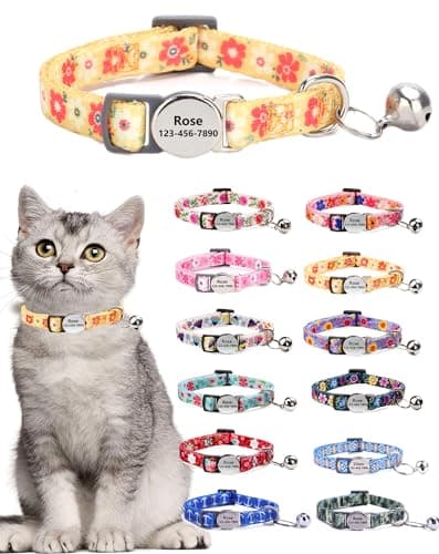 Collier chat Moonpet gravé nom et numéro, 19 à 30 cm