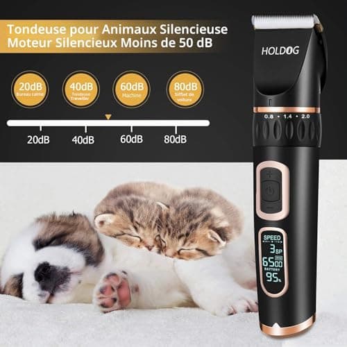 Tondeuse chien HOLDOG B8 sans fil 3 vitesses
