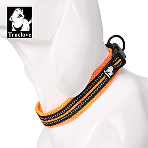Collier TRUE LOVE TLC5011 rembourré à sangle 2 cm
