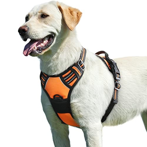 Harnais Anti-Traction Eagloo Orange - Taille L