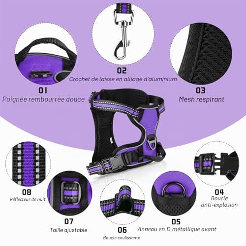 Harnais Anti-Traction SIBOTER avec Laisse - Taille M