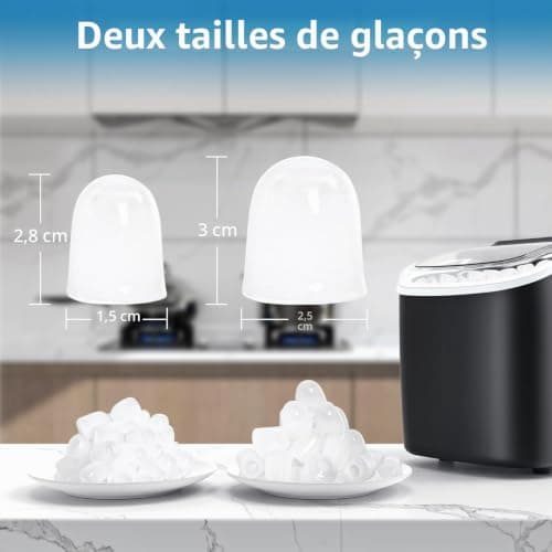 Machine à Glaçons PALINTH Argentée, 2 Tailles