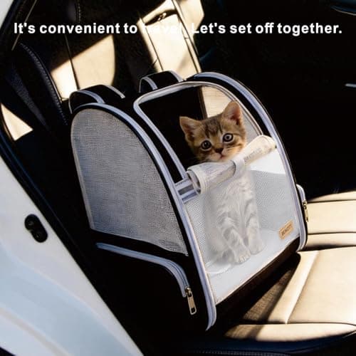 Sac à dos pour chat BEIKOTT pliable et ventilé