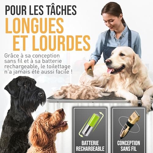 Tondeuse chien PetKing Premium sans fil kit complet