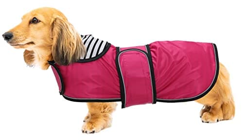 Imperméable Teckel Geyecete Léger et Réglable