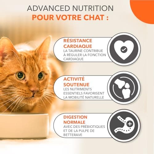 Croquettes IAMS Advanced Nutrition Chat Senior 11+ Poulet