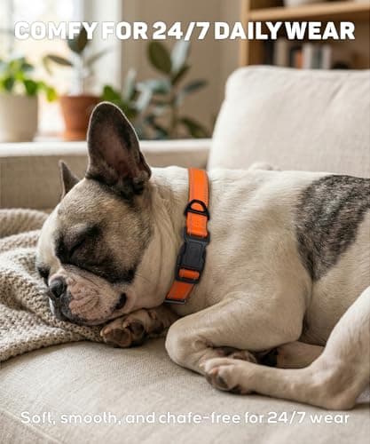 Collier nylon réfléchissant TagME V-XQ047 chien moyen