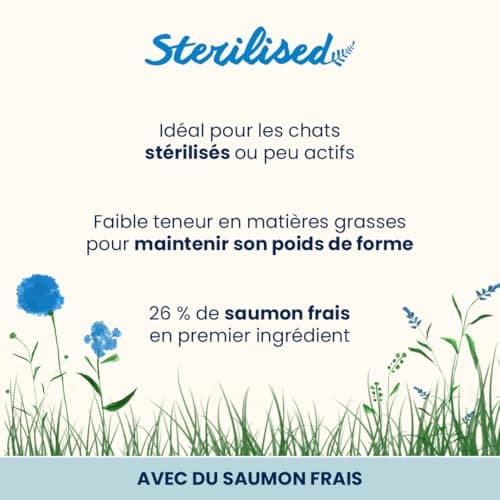 Almo Nature Sterilised Saumon Frais Chat Stérilisé 2 kg